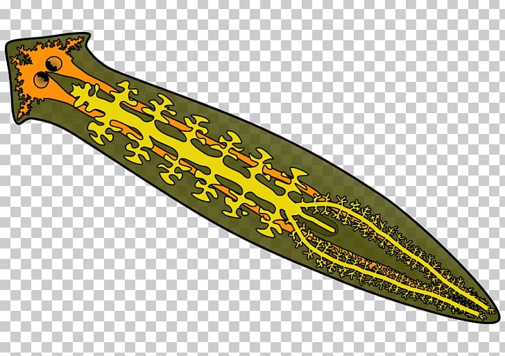 Planarian Gastrovascular Cavity Tricladida Dugesia Aenigma PNG, Clipart, Cold Weapon, Dagger, Dugesia, Dugesia Aenigma, Eye Free PNG Download