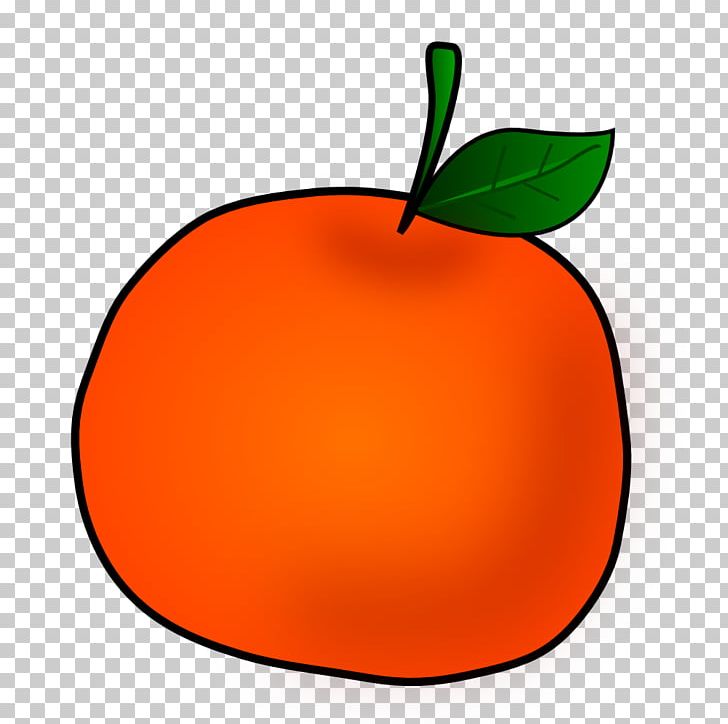 Tangerine Orange Fruit PNG, Clipart, Apple, Citrus, Clementine, Download, Flowering Plant Free PNG Download