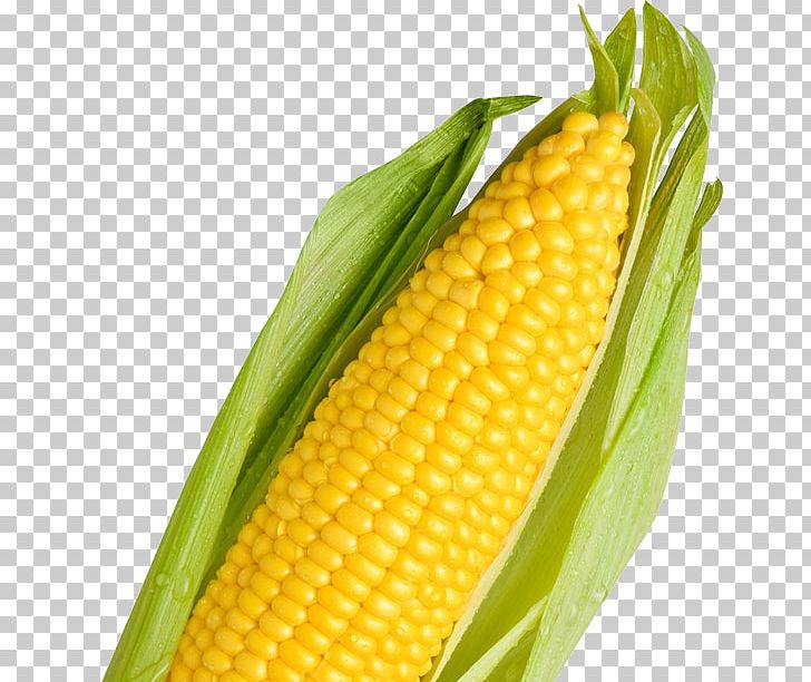 Corn On The Cob Maize 網路商城 Sweet Corn PNG, Clipart, Commodity, Corn Kernel, Corn Kernels, Corn On The Cob, Food Free PNG Download