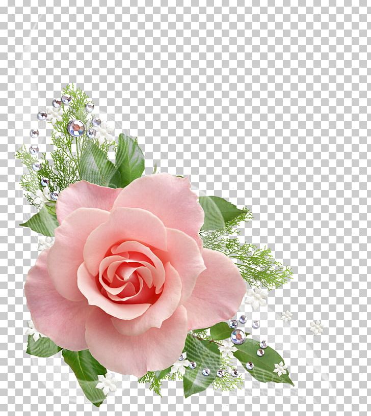 Rose Flower Petal PNG, Clipart, Cut Flowers, Desktop Wallpaper, Floral Design, Floribunda, Floristry Free PNG Download