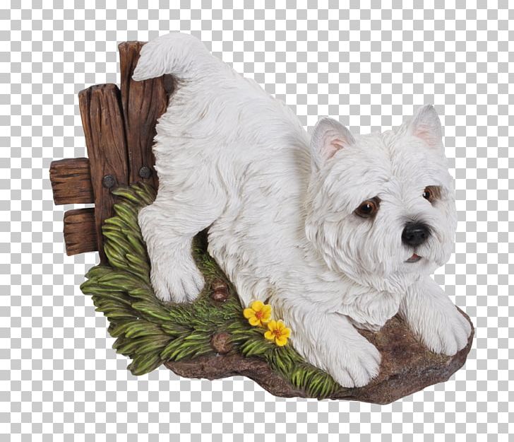 West Highland White Terrier Yorkshire Terrier Dog Breed Companion Dog PNG, Clipart, Animal, Animals, Breed, Carnivoran, Commemorative Plaque Free PNG Download