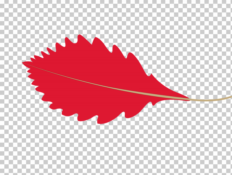 Maple Leaf PNG, Clipart, Autumn Leaf, Biology, Cartoon Leaf, Fall Leaf, Leaf Free PNG Download