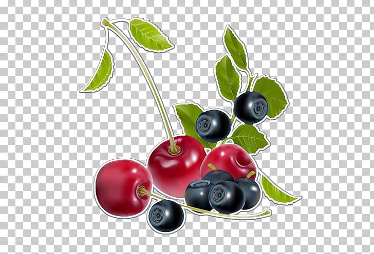 Blueberry Fruit Food PNG, Clipart, Berry, Bilberry, Blackberry, Blueberry, Cherry Free PNG Download
