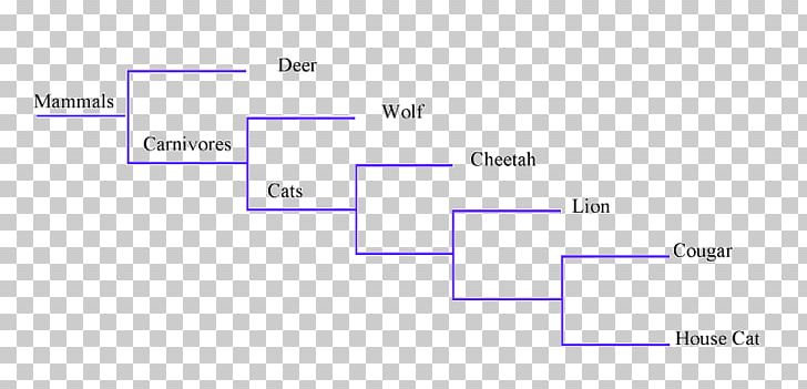 Document Line Design Angle Brand PNG, Clipart, Angle, Area, Binary Tree, Blue, Brand Free PNG Download