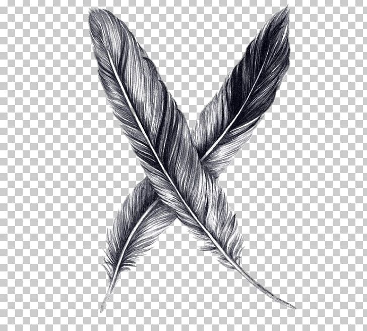 Drawing Feather Pencil Sketch PNG, Clipart, Animals, Art, Art Museum, Bird, Black And White Free PNG Download