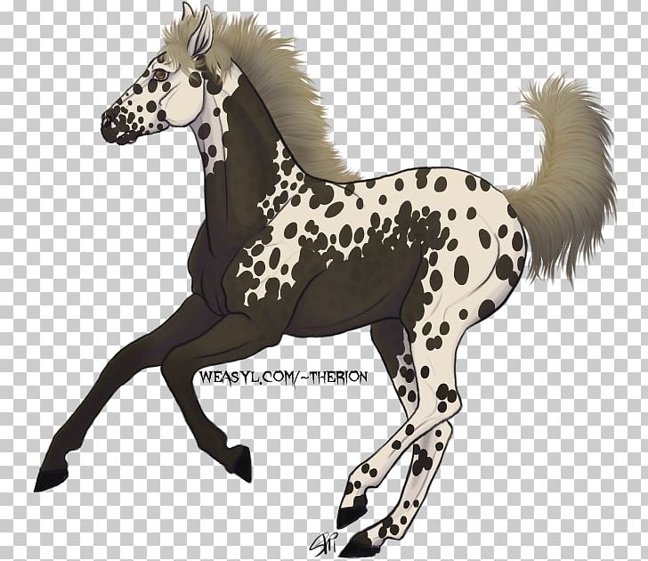 Foal Mustang Colt Stallion Yearling PNG, Clipart, Animal Figure, Colt, Deviantart, Foal, Halter Free PNG Download