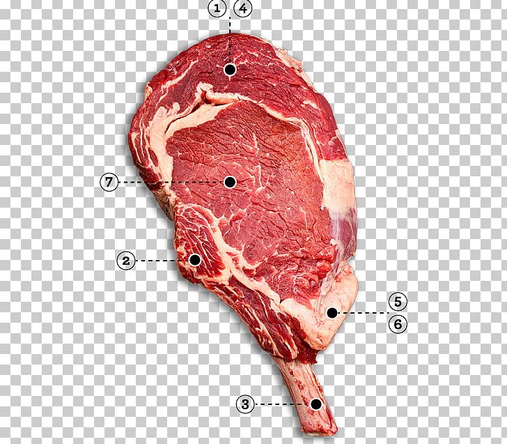 Beef Ham Meat Venison Rib Eye Steak PNG, Clipart,  Free PNG Download