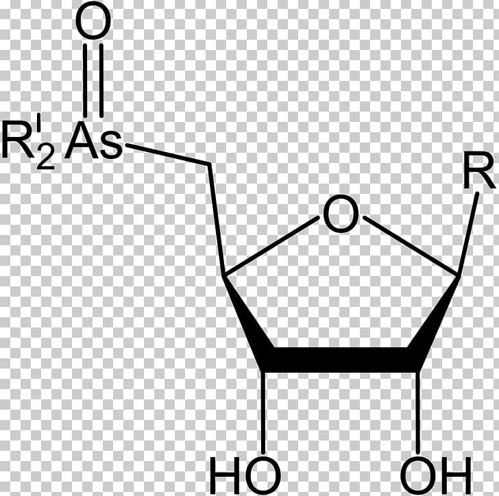 Caprylic Acid S-Adenosyl Methionine Glucaric Acid PNG, Clipart, Acid, Angle, Area, Black, Black And White Free PNG Download