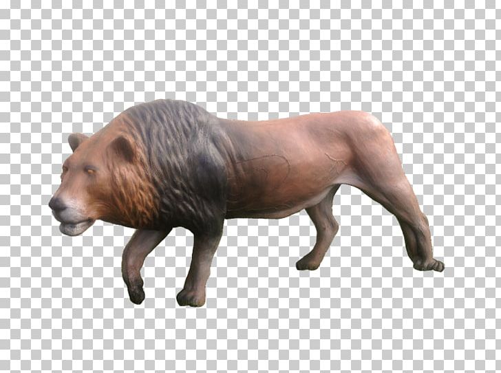 Lion Wild Boar Tiger Animal Gray Wolf PNG, Clipart, Animal, Animals, Archery, Brown Bear, Common Warthog Free PNG Download