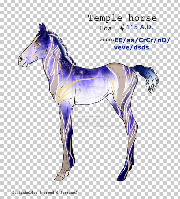 Mustang Stallion Foal Colt Mare PNG, Clipart, Bridle, Colt, Dionysus, Dog Harness, Foal Free PNG Download
