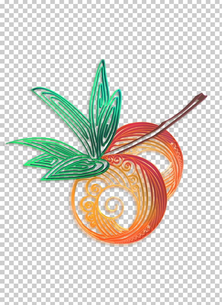 Plant PNG, Clipart, Food Drinks, Orange, Plant Free PNG Download