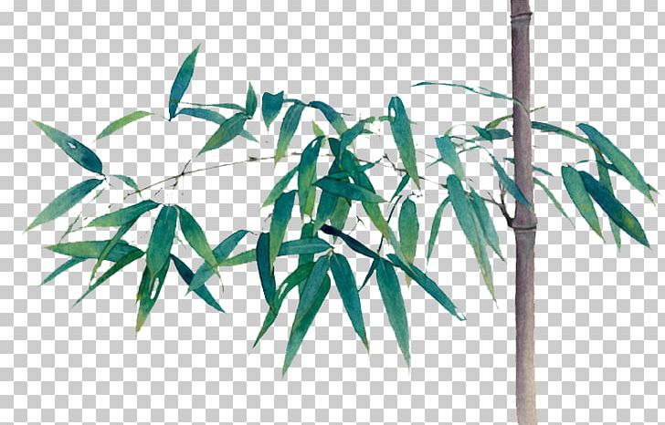 Bamboo Green Bamboe Computer File PNG, Clipart, Angle, Background Green, Bamboe, Bamboo, Bamboo Leaves Free PNG Download