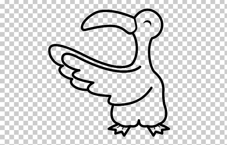 Gulls Coloring Book Drawing Bird PNG, Clipart, Adult, Animals, Area, Art, Artwork Free PNG Download