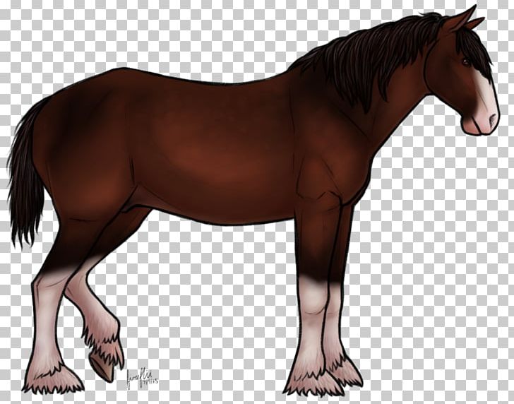 Mane Shire Horse Stallion Mare Foal PNG, Clipart, Bay, Colt, Foal, Halter, Horse Free PNG Download
