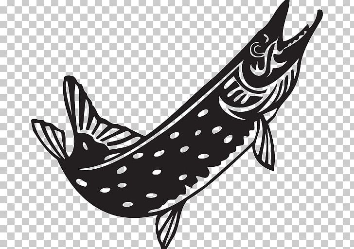 Northern Pike Open Illustration Muskellunge PNG, Clipart, Araba Sticker, Beak, Bird, Black And White, Drawing Free PNG Download