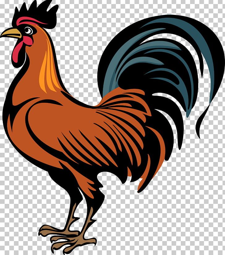 Cock PNG, Clipart, Cock Free PNG Download