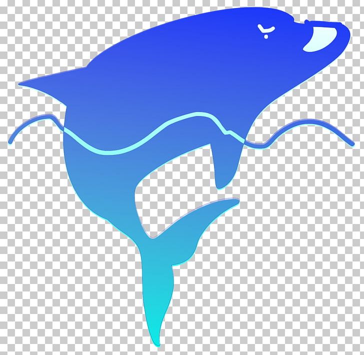 Dolphin PNG, Clipart, Animals, Artwork, Azure, Beak, Blue Free PNG Download