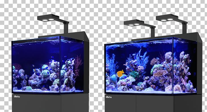 Red Sea Reef Aquarium S.E.A. Aquarium PNG, Clipart, Aquarium, Aquarium Lighting, Coral Reef, Display Device, Fish Free PNG Download