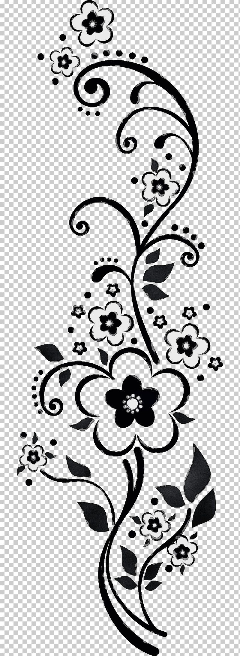 Floral Design PNG, Clipart, Blackandwhite, Floral Design, Floral Line, Flower Background, Flower Border Free PNG Download