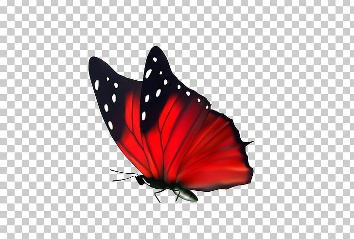 Butterfly Flower Cdr PNG, Clipart, Blue, Brush Footed Butterfly, Creative Ads, Creative Artwork, Creative Background Free PNG Download