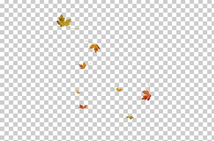 Leaf PNG, Clipart, Angle, Autumn Leaf, Clip Art, Download, Drawing Free PNG Download