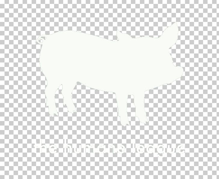 Pig White Snout Tail Wildlife PNG, Clipart, Animal, Animals, Black And White, Carnivoran, Citizen Free PNG Download