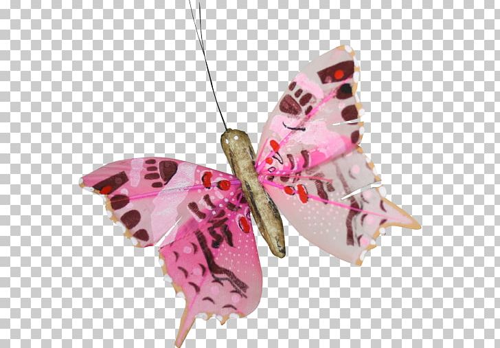 Butterfly Papillon Dog PNG, Clipart, Beautiful Love, Butterfly, Computer Graphics, Computer Icons, Cvetok Free PNG Download
