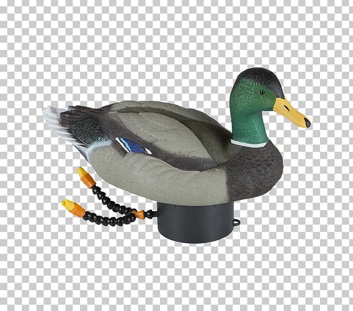 Duck Decoy Mallard Goose Duck Decoy PNG, Clipart, Animals, Beak, Bird, Bluewinged Teal, Canada Goose Free PNG Download
