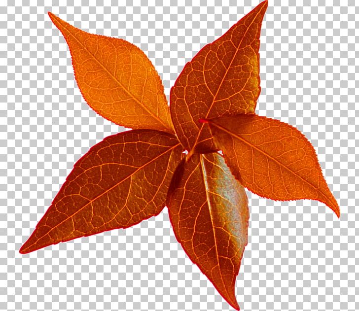 Leaf Autumn Leaves LiveInternet PNG, Clipart, Autumn, Autumn Leaves, Blog, Diary, Digital Image Free PNG Download