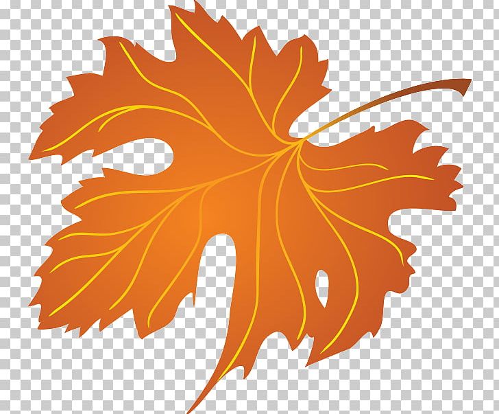 Maple Leaf Autumn Leaf Color PNG, Clipart, Autumn, Autumn Leaf Color, Color, Flowering Plant, Leaf Free PNG Download