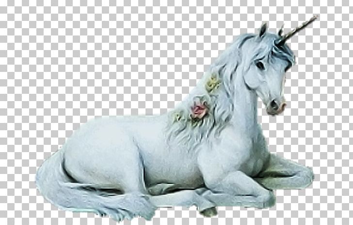 Unicorn Animation PNG, Clipart, Animal Figure, Art, Art Museum, Fantasy, Fictional Character Free PNG Download