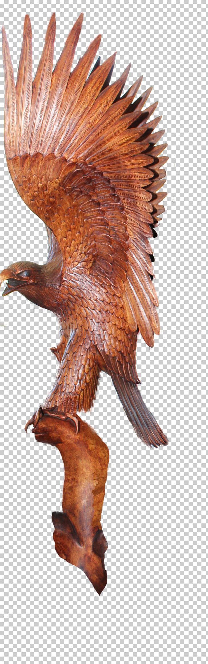 Wood Carving Sculpture Craft PNG, Clipart, Art, Beak, Bird, Bird Of Prey, Carver Free PNG Download