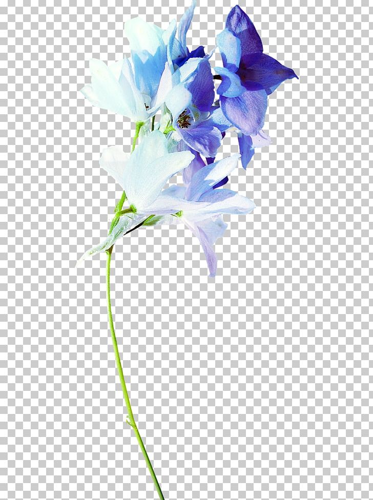 Flower Blue Floral Design PNG, Clipart, Bellflower Family, Blog, Blue, Cut Flowers, Delphinium Free PNG Download