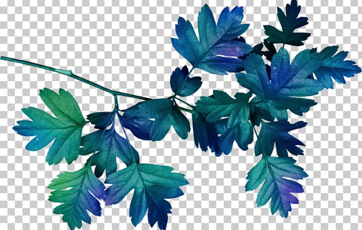Leaf PNG, Clipart, Blue, Border, Botanical Illustration, Branch, Clip Art Free PNG Download