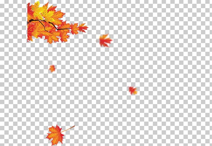 Maple Leaf Red Maple PNG, Clipart, Adobe Illustrator, Autumn Leaf, Autumn Leaves, Banana Leaves, Download Free PNG Download