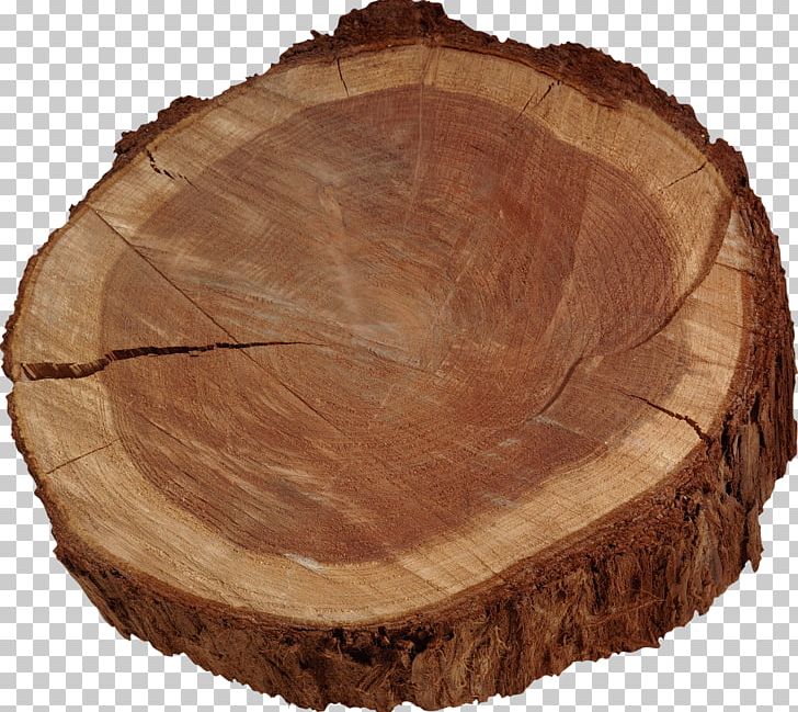 Tree Trunk Lumber PNG, Clipart, 19 August, 21 March, 2017, Blog, Cloud Free PNG Download