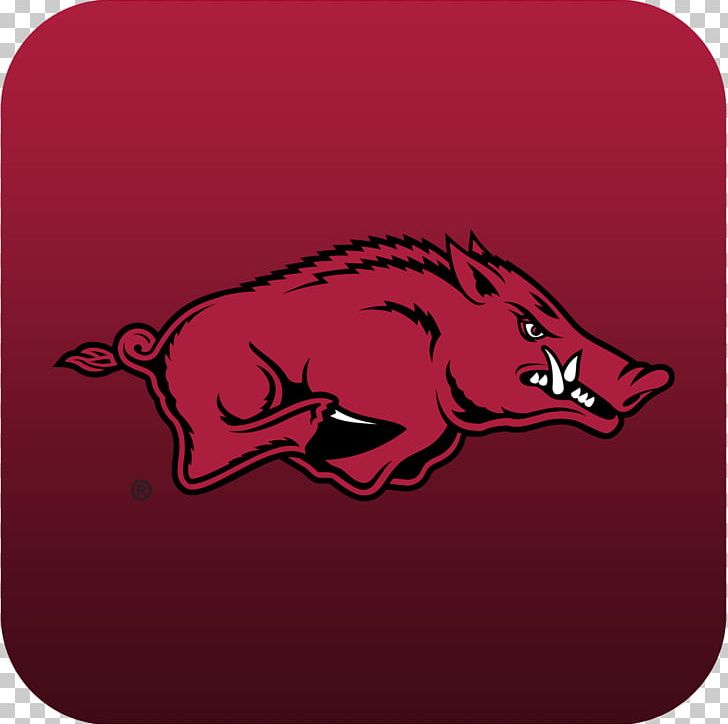 Arkansas Razorbacks Football Bud Walton Arena Feral Pig Southeastern ...