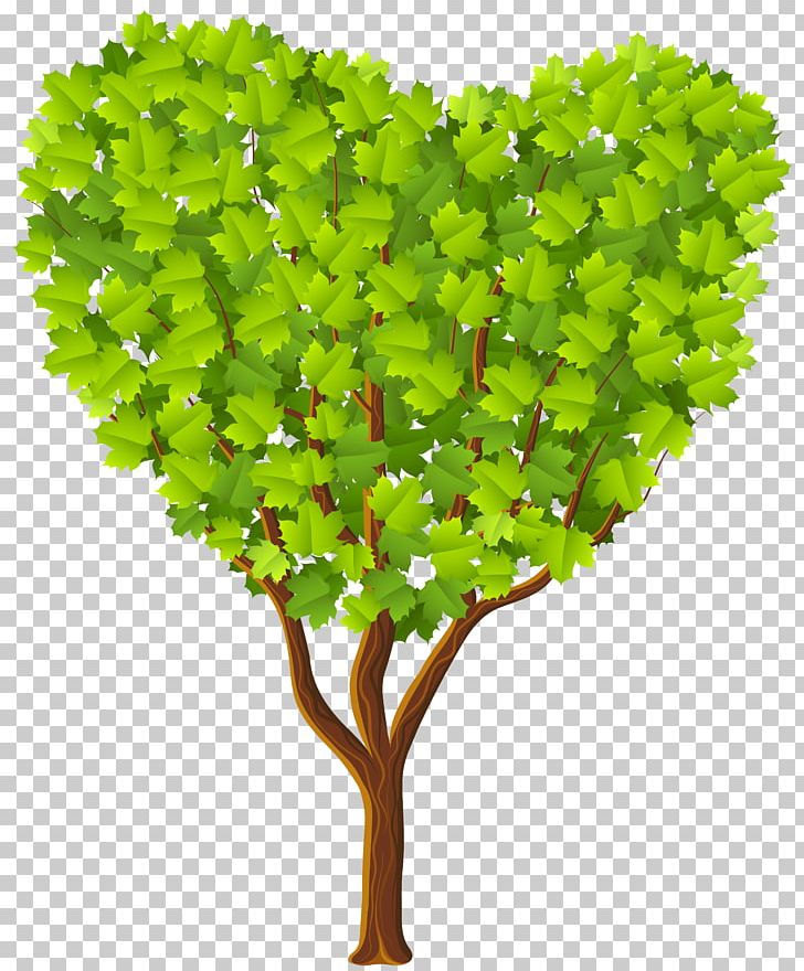 Heart Tree PNG, Clipart, Arecaceae, Art Green, Branch, Clip Art, Clipart Free PNG Download