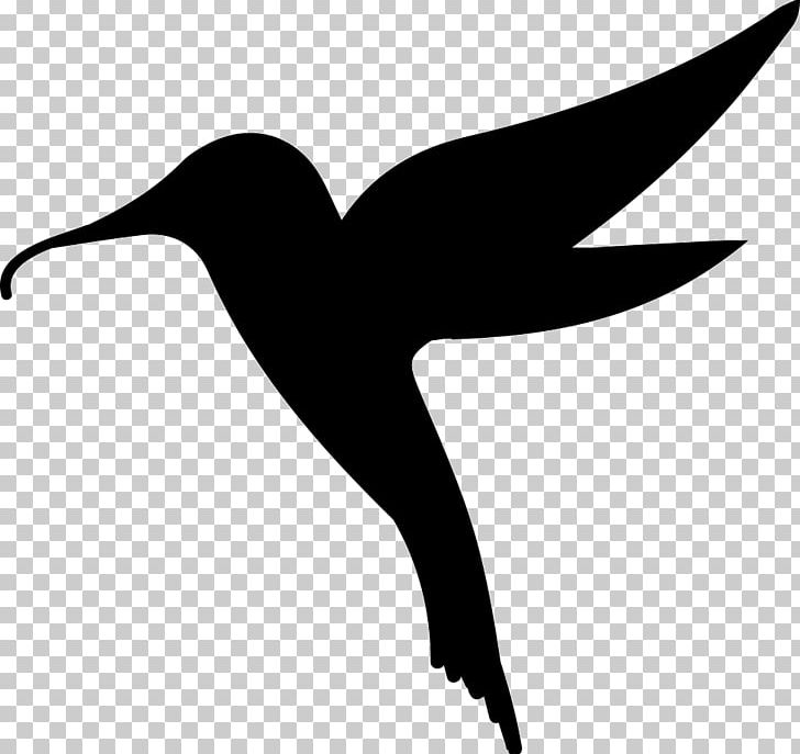 Hummingbird Horse Light Computer Icons PNG, Clipart, Animal, Animals, Beak, Bird, Black And White Free PNG Download