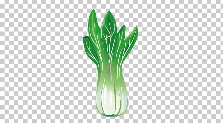 Leaf Vegetable Canola PNG, Clipart, Cabbage, Computer Wallpaper, Encapsulated Postscript, Euc, Food Drinks Free PNG Download