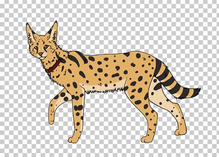 Whiskers Savannah Cat Wildcat Cheetah Bengal Cat PNG, Clipart, Animals, Bengal Cat, Big Cat, Big Cats, Canidae Free PNG Download