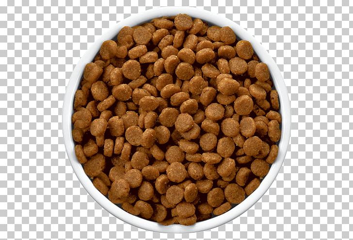 Cat Food Dog Hill's Pet Nutrition PNG, Clipart,  Free PNG Download