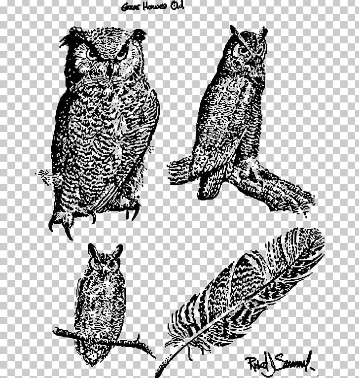 Great Horned Owl Bird Snowy Owl Barn Owl PNG, Clipart, Animals, Art, Barn Owl, Beak, Bird Free PNG Download