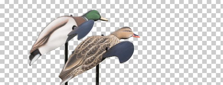 Mallard Duck Decoy Duck Decoy Goose PNG, Clipart, Animal, Animal Figure, Animals, Anseriformes, Beak Free PNG Download