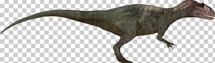 ZOO TYCOON DINOSAUR DIGS SCARICARE