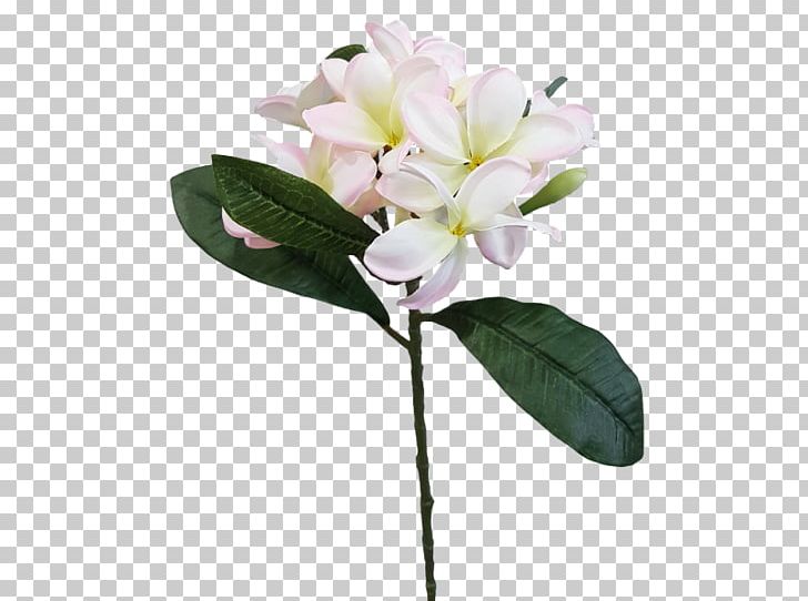 Lily Of The Incas Cut Flowers Plant Stem Common Lilac PNG, Clipart, Alstroemeriaceae, Branch, Branching, Common Lilac, Cut Flowers Free PNG Download