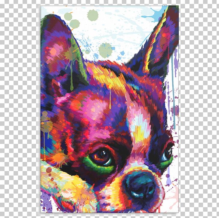 Boston Terrier Dog Breed Non-sporting Group Fawn Art PNG, Clipart, Art, Bernese, Boston Terrier, Breed, Carnivoran Free PNG Download