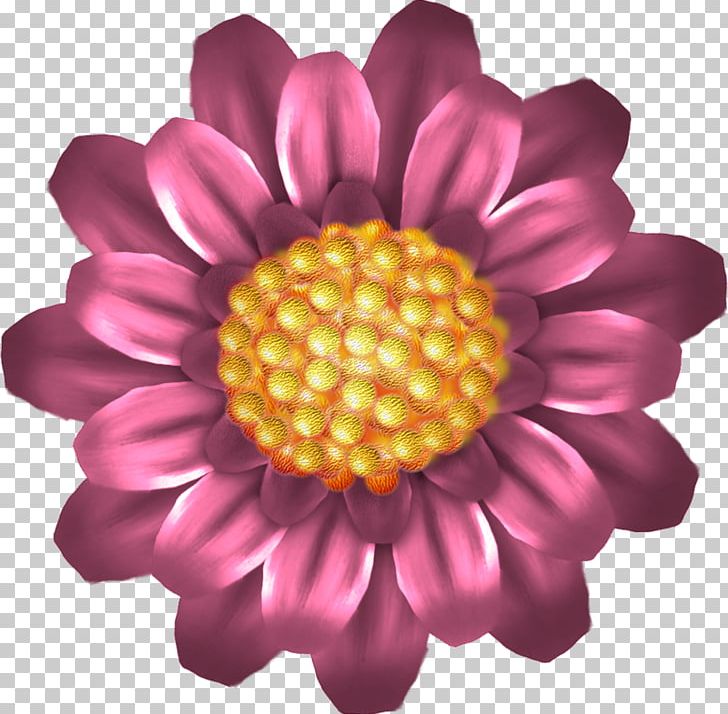 Drawing Red Flower Cartoon PNG, Clipart, Animaatio, Animation, Cartoon, Chrysanths, Color Free PNG Download