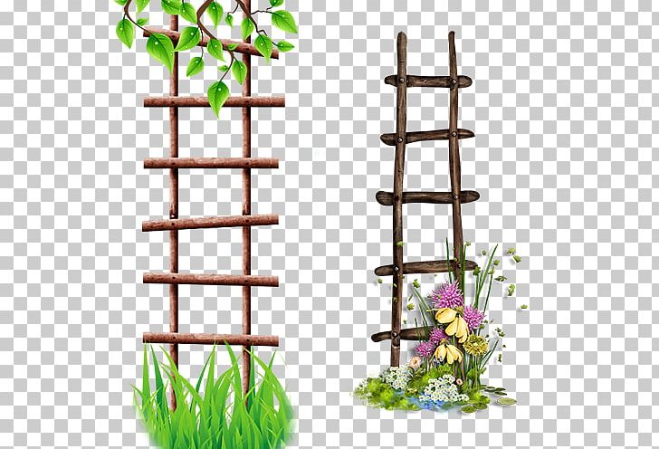 Ladder Albom Icon PNG, Clipart, Albom, Border Frame, Encapsulated Postscript, Flower Frame, Flowers Free PNG Download