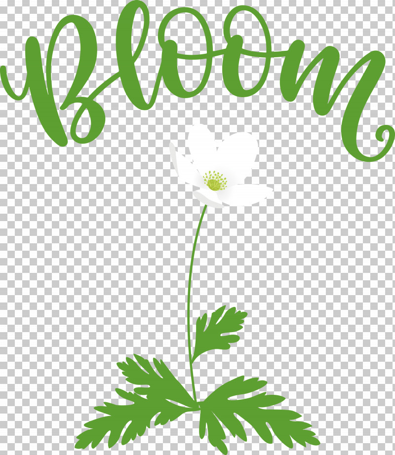 Bloom Spring Flower PNG, Clipart, Bloom, Flower, Green, Herbal Medicine, Leaf Free PNG Download